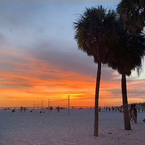 Meet your Posher, Sophia